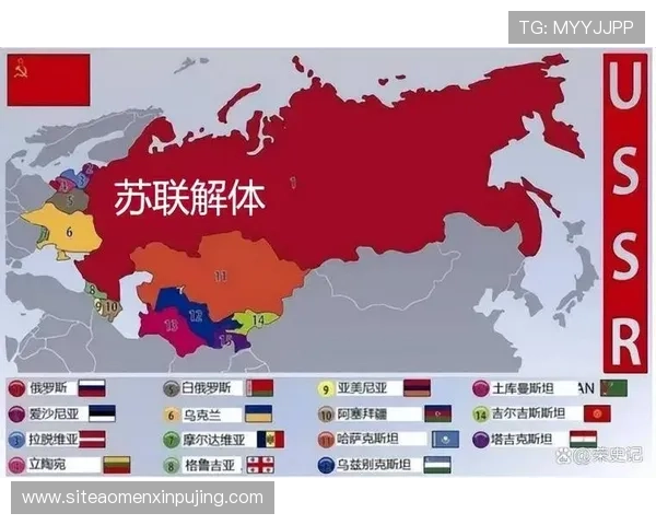 新普京官方首页提供权威新闻报道，深入解析普京政策走向与国家发展战略