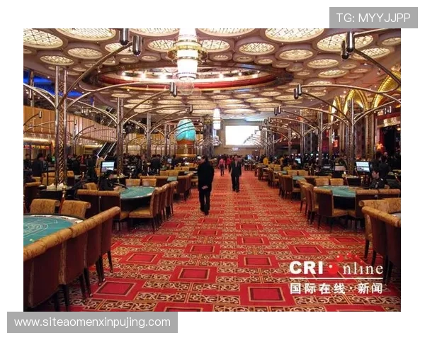 新葡京娱乐网址多平台同步登录，随时随地享受精彩纷呈的线上娱乐盛宴