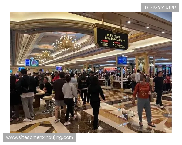 澳门新葡京app注册流程详解，新手快速上手的简便操作指南推荐