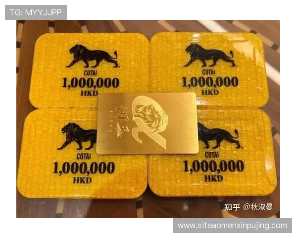 新澳门VIP充值优惠活动不断，享受超值返利和专属礼遇的最佳时机